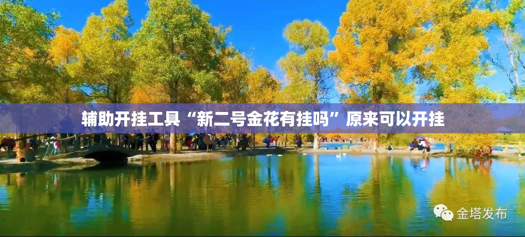 辅助开挂工具“新二号金花有挂吗”原来可以开挂