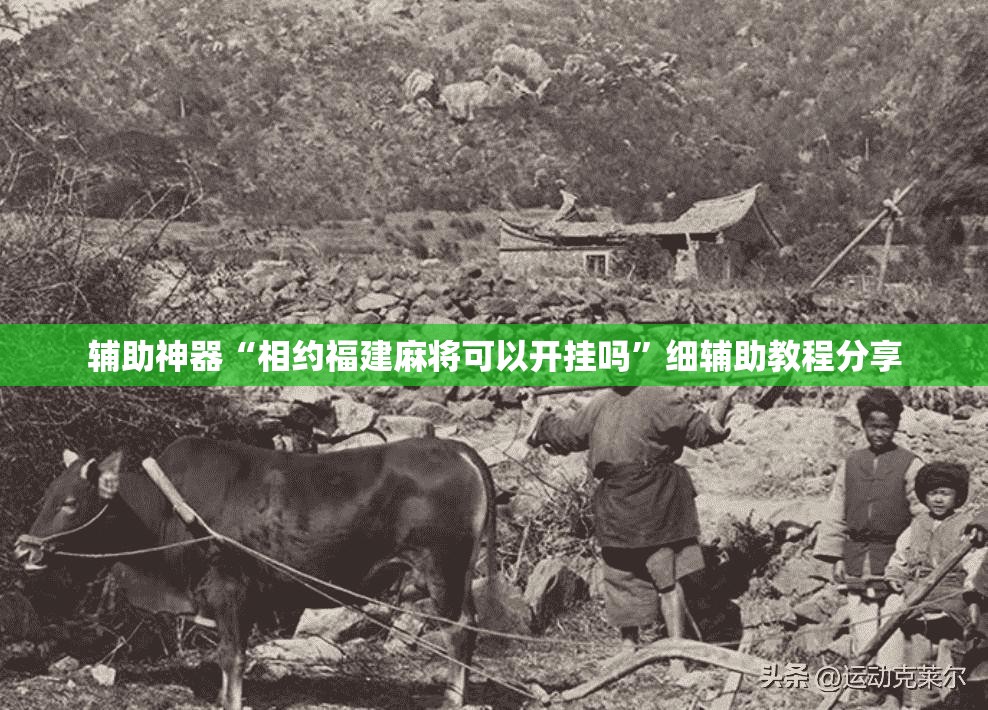 辅助神器“相约福建麻将可以开挂吗”细辅助教程分享
