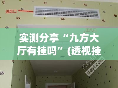 实测分享“九方大厅有挂吗”(透视挂)辅助下载教程