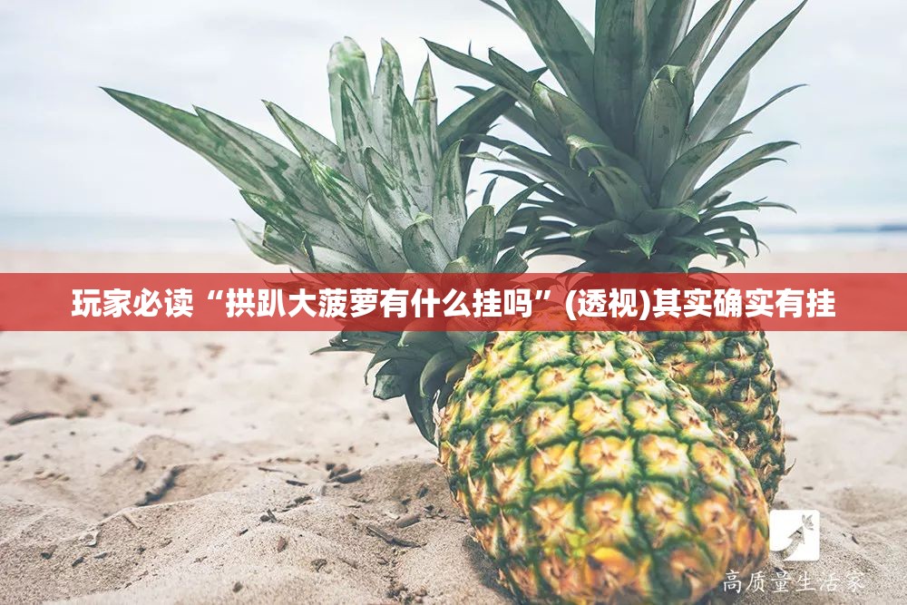 玩家必读“拱趴大菠萝有什么挂吗”(透视)其实确实有挂