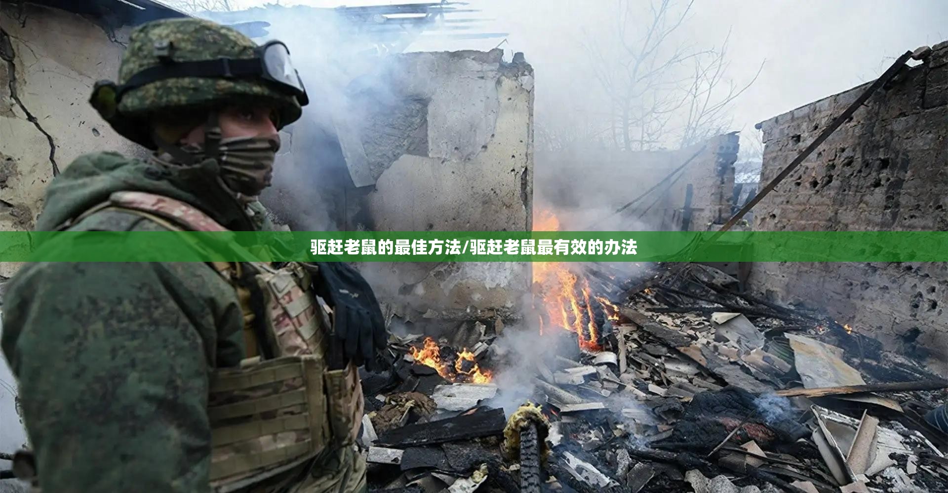 驱赶老鼠的最佳方法/驱赶老鼠最有效的办法