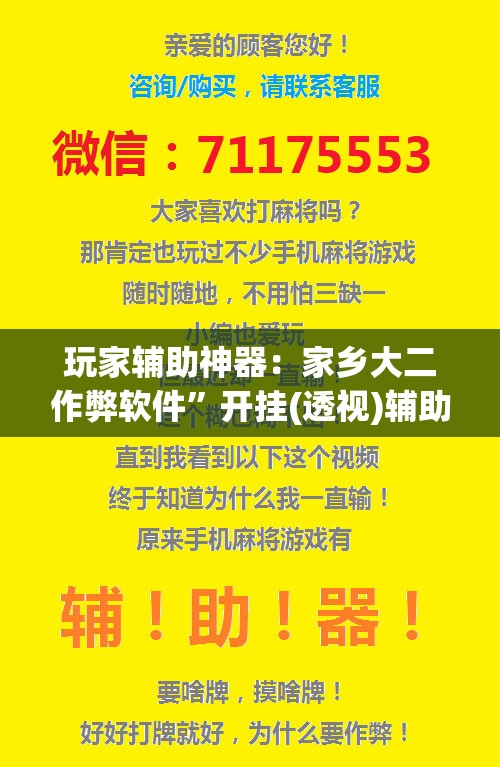 玩家辅助神器：家乡大二作弊软件	”开挂(透视)辅助神器