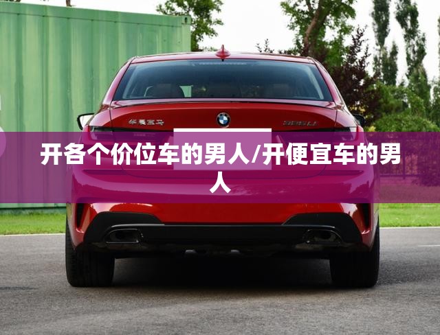 开各个价位车的男人/开便宜车的男人