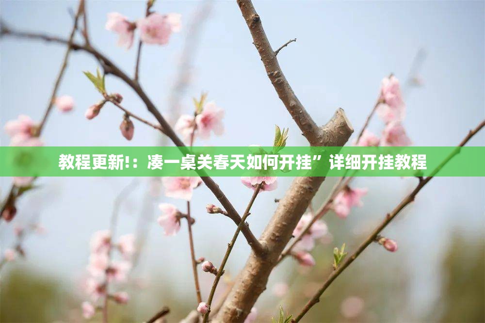 教程更新!：凑一桌关春天如何开挂”详细开挂教程