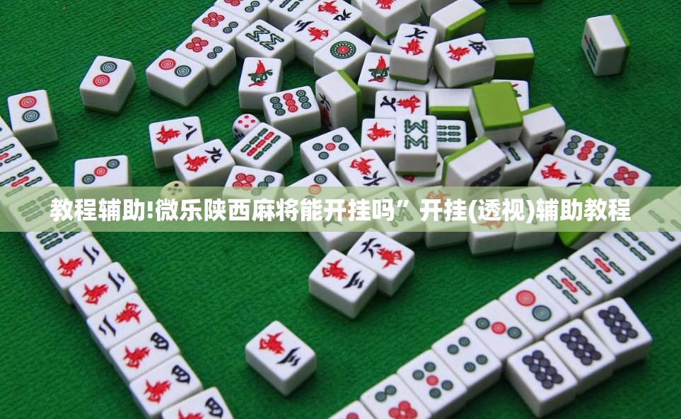 教程辅助!微乐陕西麻将能开挂吗”开挂(透视)辅助教程