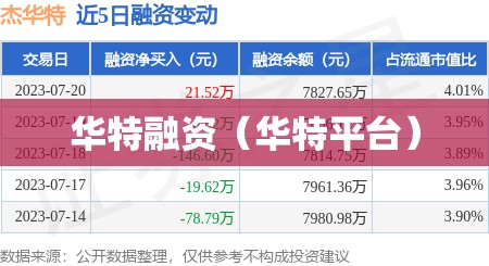 华特融资（华特平台）