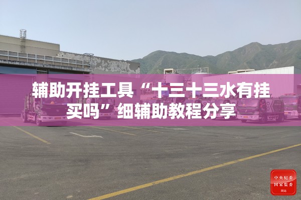辅助开挂工具“十三十三水有挂买吗”细辅助教程分享