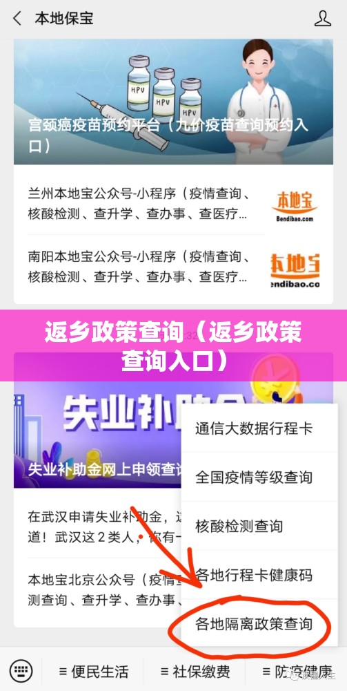 返乡政策查询（返乡政策查询入口）