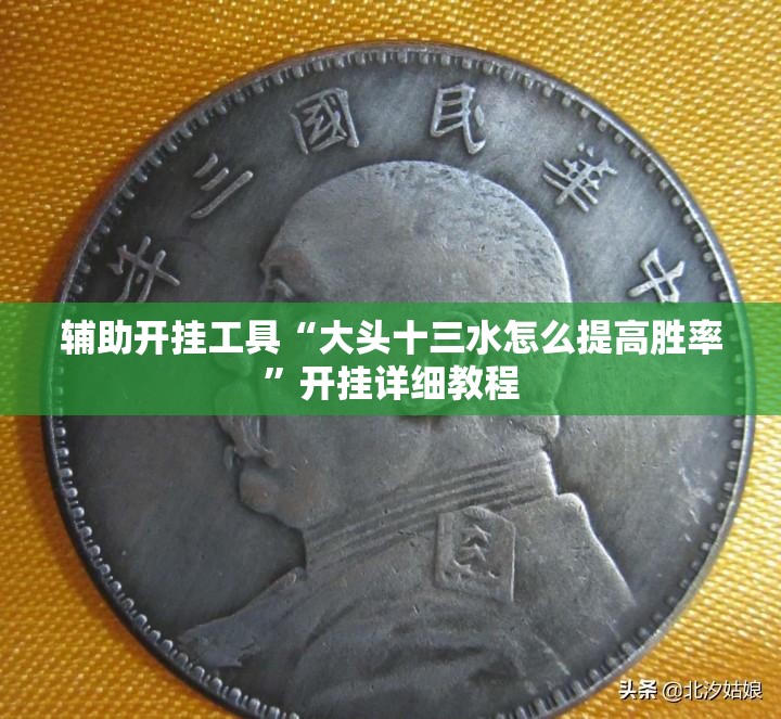 辅助开挂工具“大头十三水怎么提高胜率”开挂详细教程