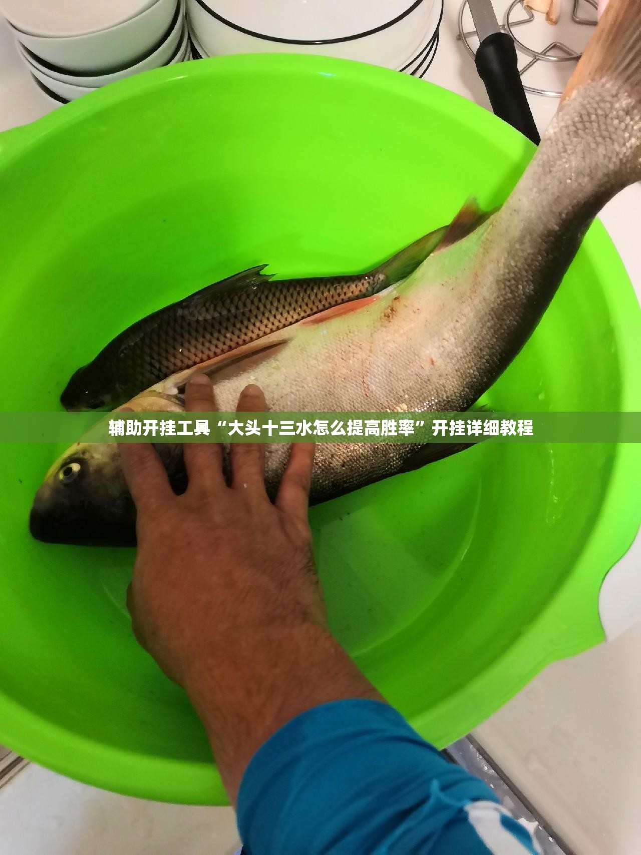 辅助开挂工具“大头十三水怎么提高胜率	”开挂详细教程