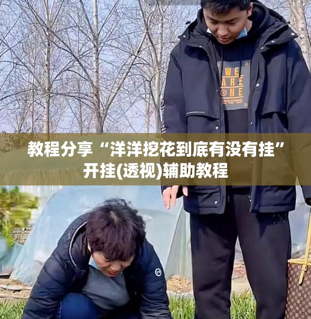 教程分享“洋洋挖花到底有没有挂	”开挂(透视)辅助教程