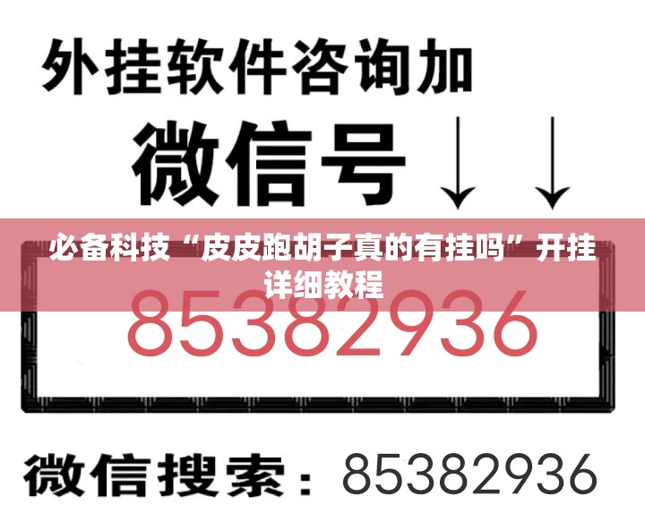 必备科技“皮皮跑胡子真的有挂吗”开挂详细教程