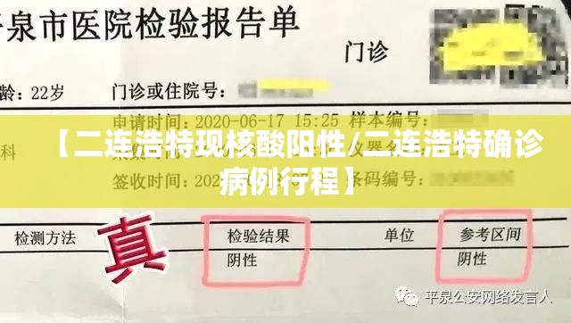 【二连浩特现核酸阳性/二连浩特确诊病例行程】