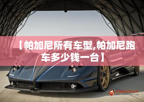 【帕加尼所有车型,帕加尼跑车多少钱一台】