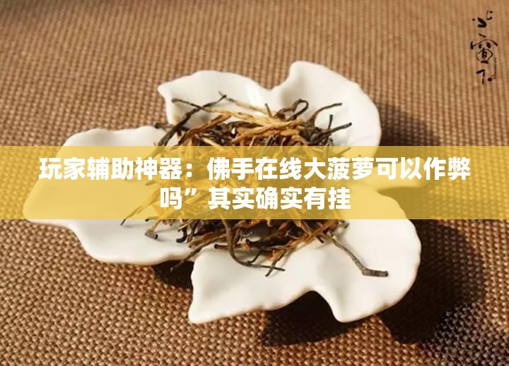 玩家辅助神器：佛手在线大菠萝可以作弊吗”其实确实有挂