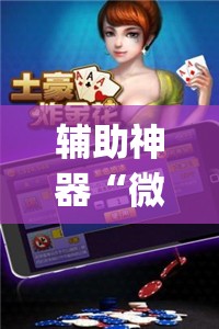 辅助神器“微乐保皇外卦神器下载安装”(透视挂)辅助下载教程