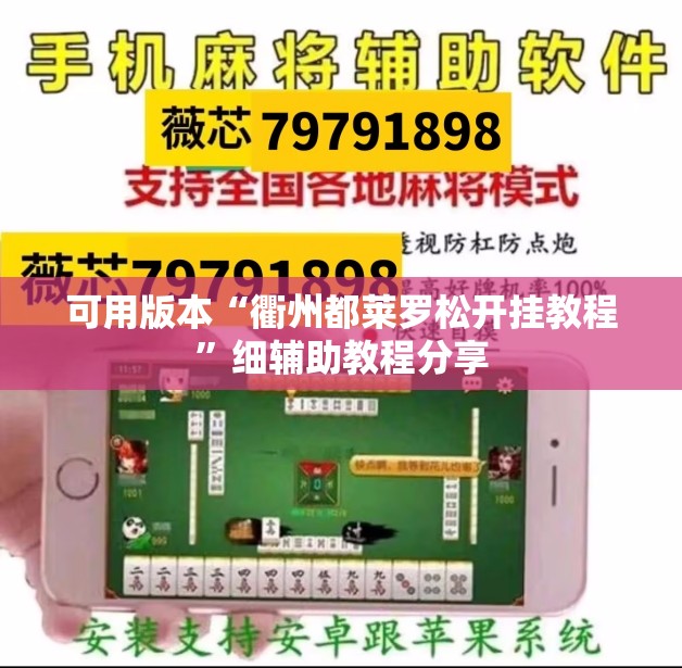 可用版本“衢州都莱罗松开挂教程”细辅助教程分享