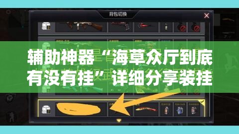辅助神器“海草众厅到底有没有挂”详细分享装挂步骤