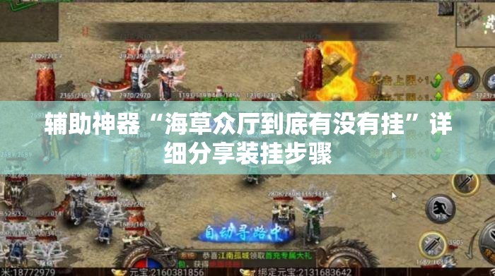 辅助神器“海草众厅到底有没有挂”详细分享装挂步骤