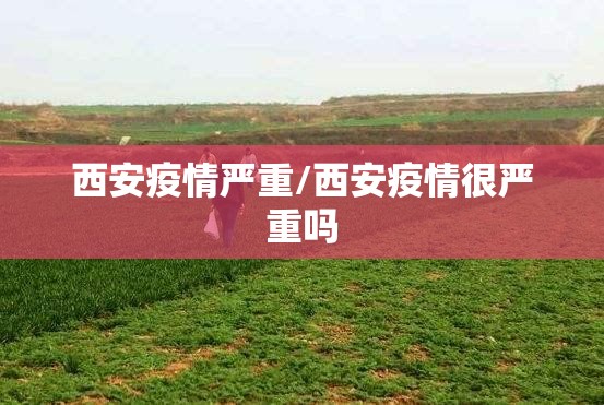 西安疫情严重/西安疫情很严重吗