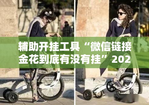 辅助开挂工具“微信链接金花到底有没有挂	”2026开挂教程步骤