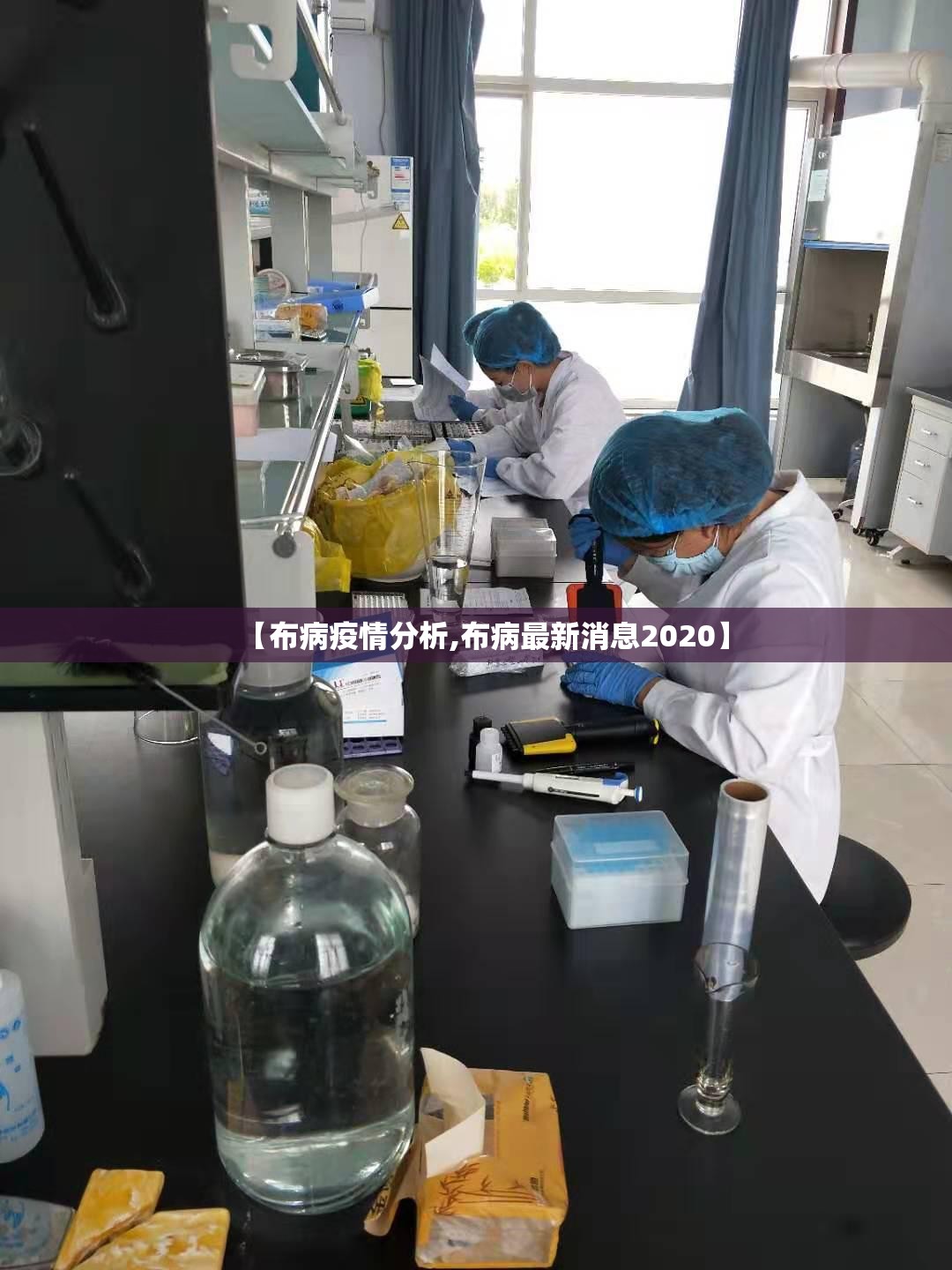 【布病疫情分析,布病最新消息2020】