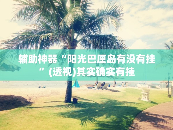 辅助神器“阳光巴厘岛有没有挂”(透视)其实确实有挂