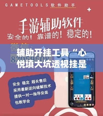 辅助开挂工具“心悦填大坑透视挂是真的吗”(免费)开挂辅助教学(最新辅助开挂教程)