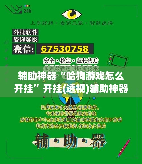 辅助神器“哈狗游戏怎么开挂”开挂(透视)辅助神器