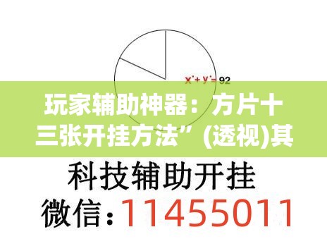 玩家辅助神器：方片十三张开挂方法	”(透视)其实确实有挂