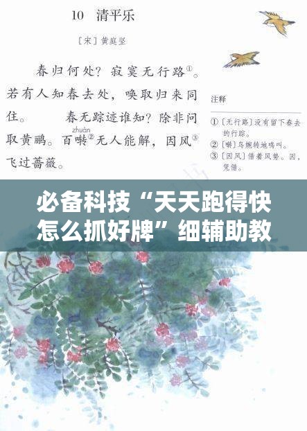 必备科技“天天跑得快怎么抓好牌”细辅助教程分享