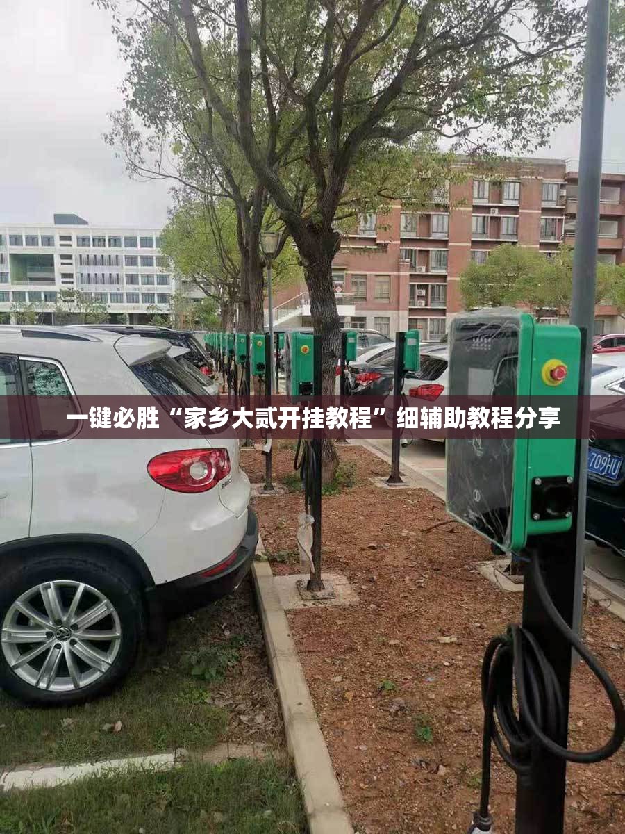 一键必胜“家乡大贰开挂教程	”细辅助教程分享