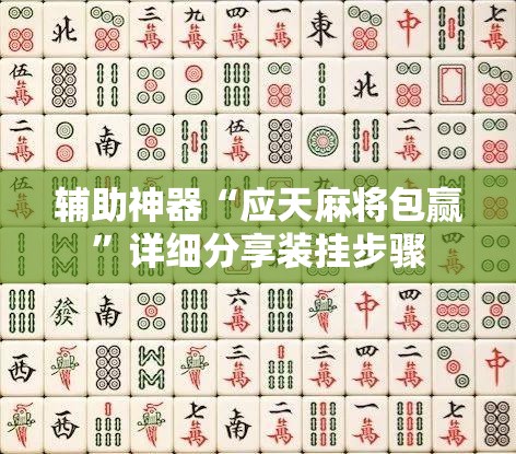 辅助神器“应天麻将包赢	”详细分享装挂步骤