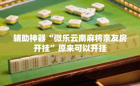 辅助神器“微乐云南麻将亲友房开挂”原来可以开挂