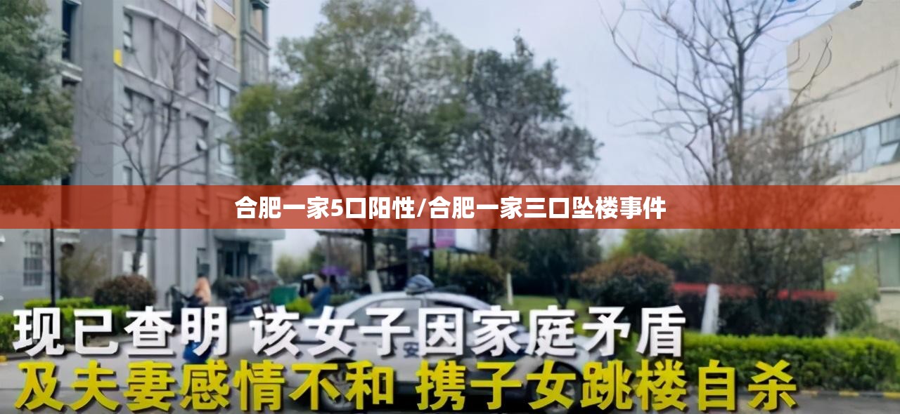 合肥一家5口阳性/合肥一家三口坠楼事件