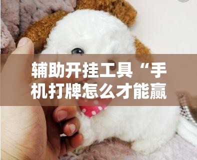辅助开挂工具“手机打牌怎么才能赢”详细开挂教程