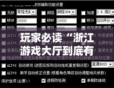 玩家必读“浙江游戏大厅到底有没有挂”开挂辅助脚本+详细开挂安装教程