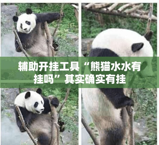 辅助开挂工具“熊猫水水有挂吗	”其实确实有挂