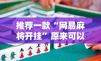 推荐一款“网易麻将开挂”原来可以开挂