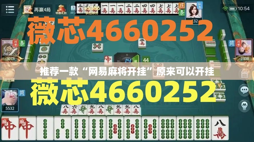 推荐一款“网易麻将开挂”原来可以开挂