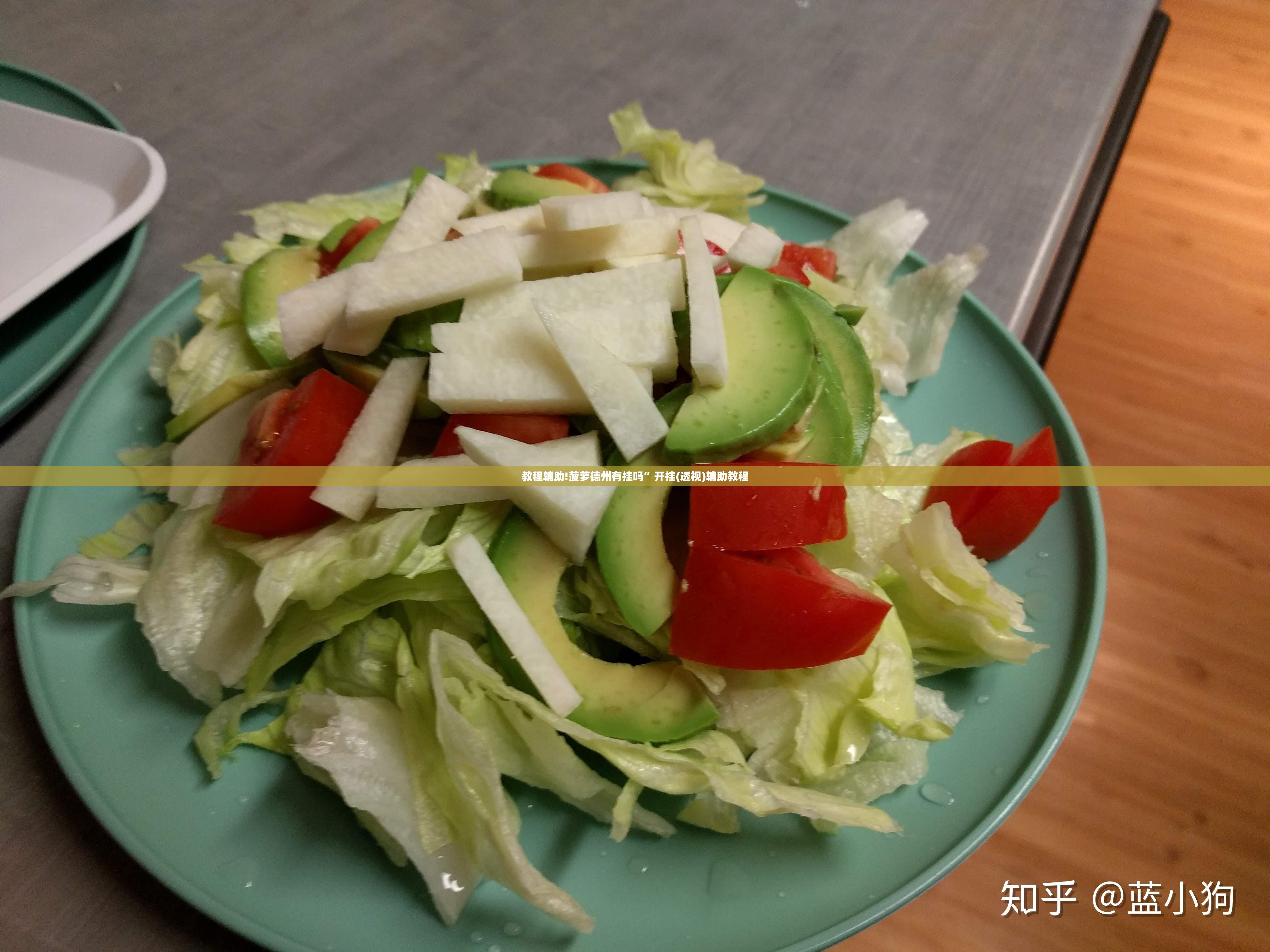 教程辅助!菠萝德州有挂吗”开挂(透视)辅助教程
