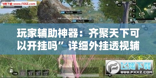 玩家辅助神器：齐聚天下可以开挂吗”详细外挂透视辅助软件教程