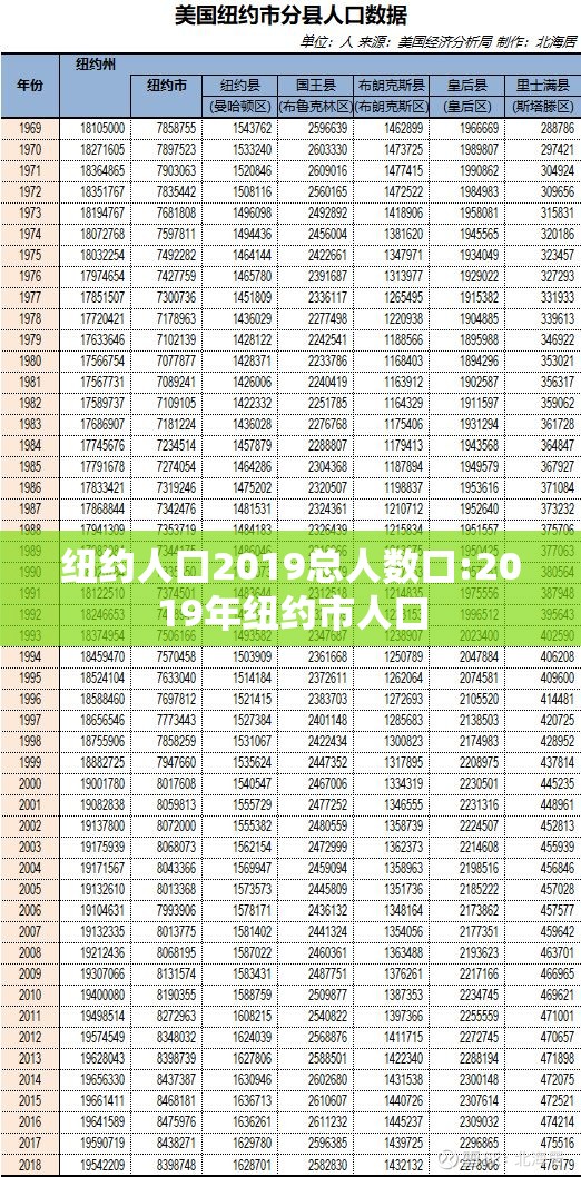 纽约人口2019总人数口:2019年纽约市人口