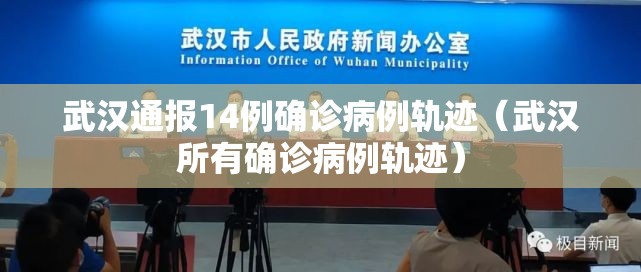 武汉通报14例确诊病例轨迹（武汉所有确诊病例轨迹）