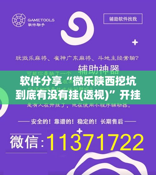 软件分享“微乐陕西挖坑到底有没有挂(透视)”开挂辅助脚本+详细开挂安装教程