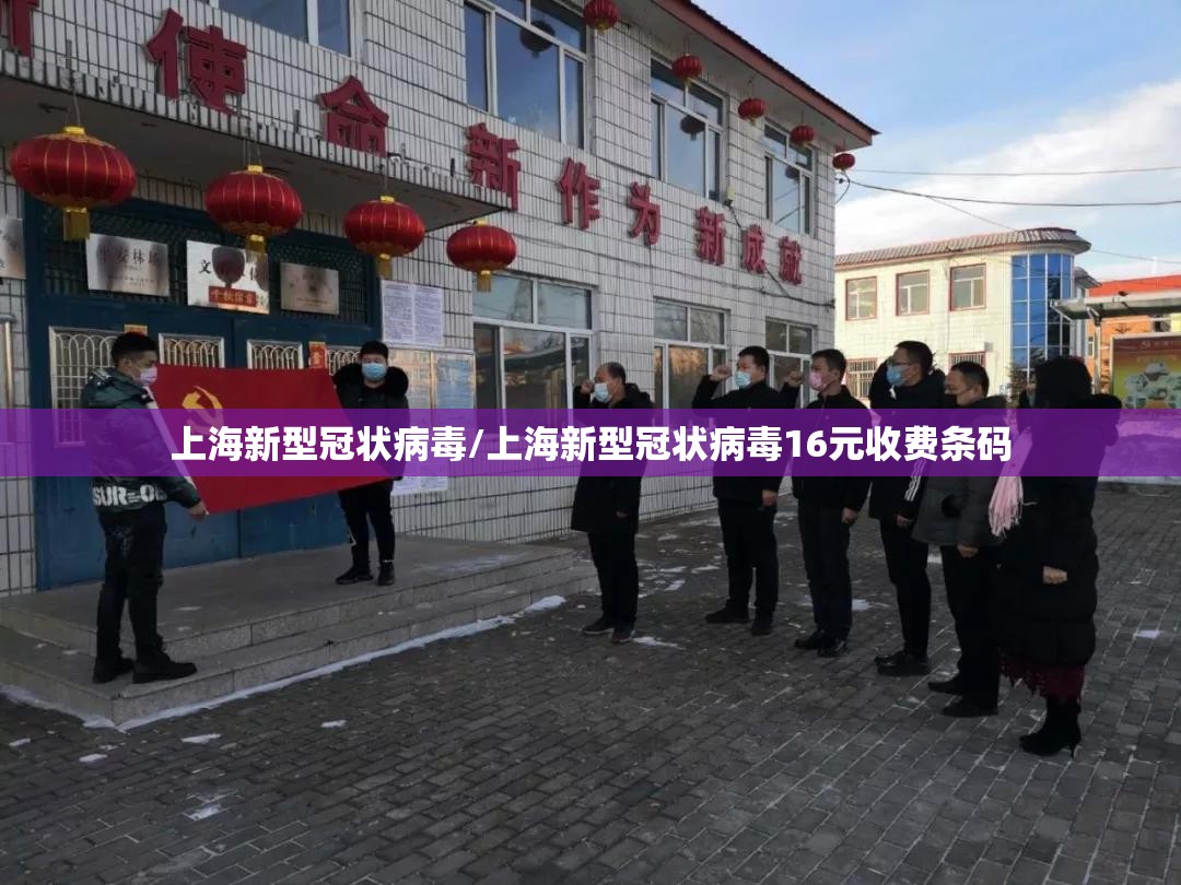 上海新型冠状病毒/上海新型冠状病毒16元收费条码