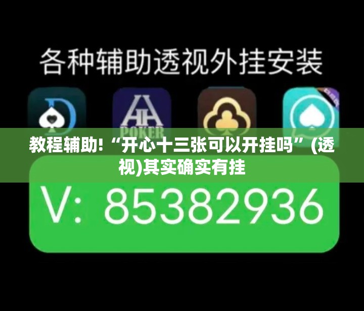 教程辅助!“开心十三张可以开挂吗	”(透视)其实确实有挂