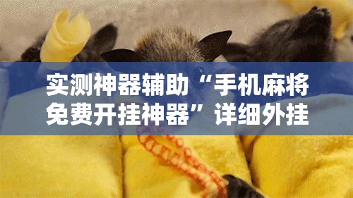 实测神器辅助“手机麻将免费开挂神器	”详细外挂透视辅助软件教程