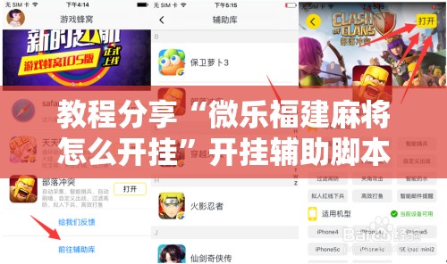 教程分享“微乐福建麻将怎么开挂”开挂辅助脚本+详细开挂安装教程
