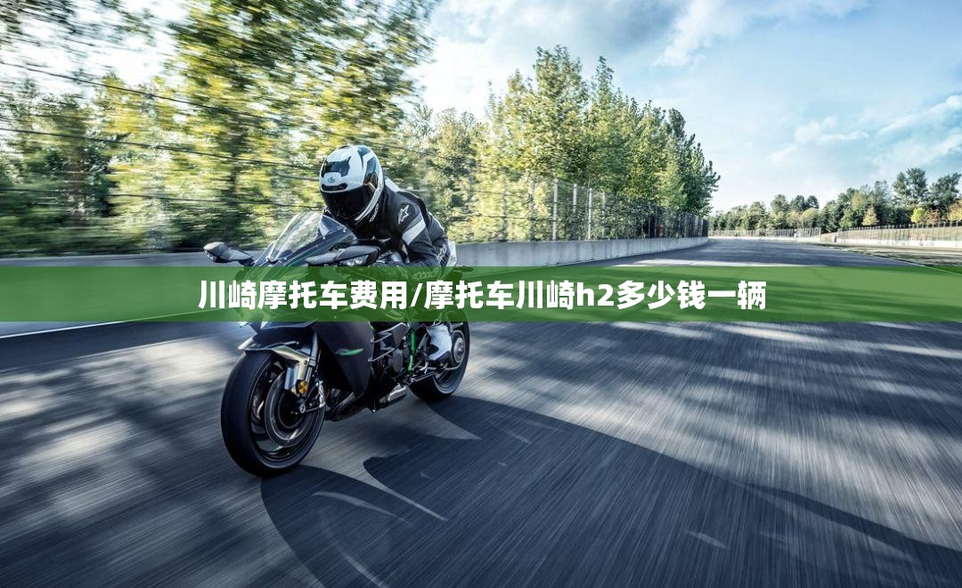 川崎摩托车费用/摩托车川崎h2多少钱一辆